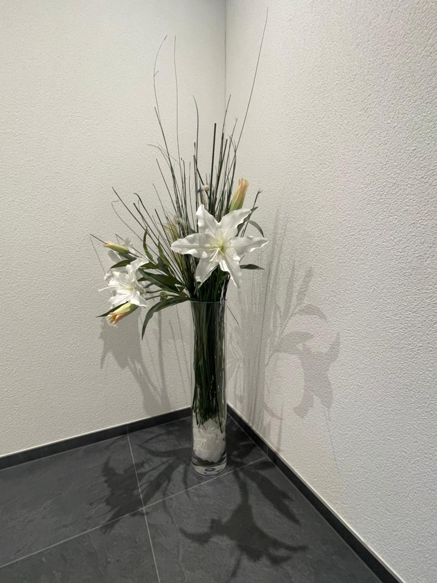 V.I.P Appartement Böttstein Eksteriør bilde